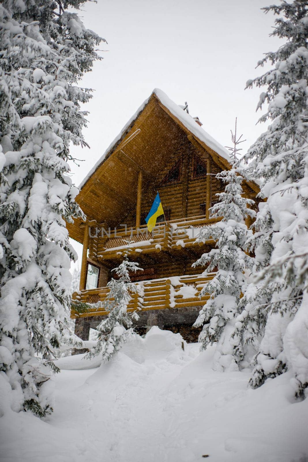New wooden house in the forest. Snowing. house flag of Ukraine