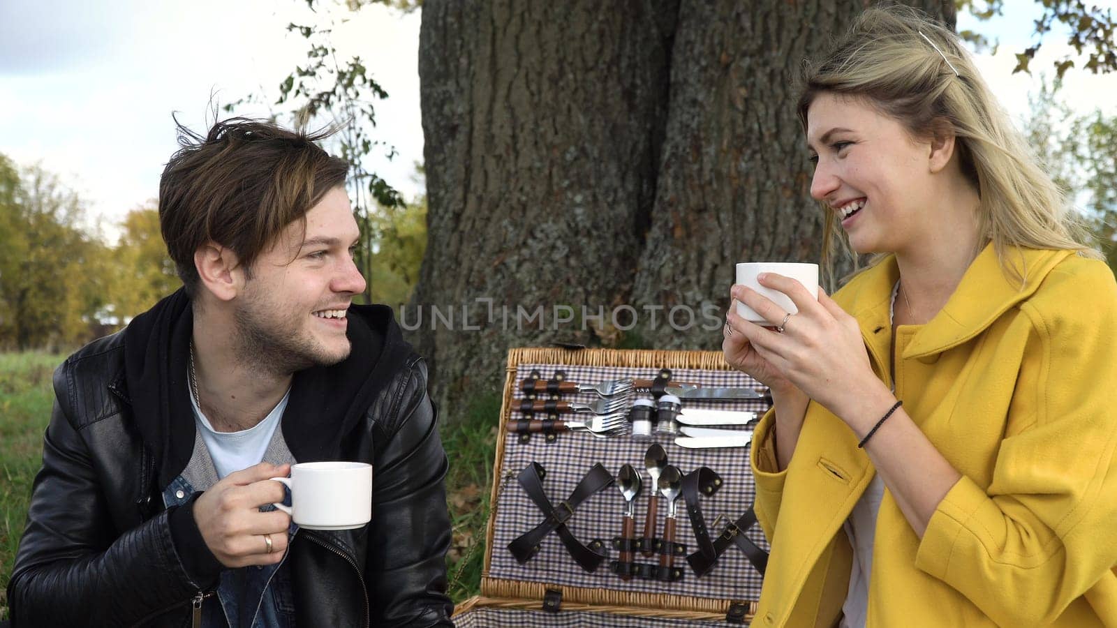 Young family at a picnic in the park on a sunny day. Family having picnic outdoors. Cute family picnicking in the park.Young smilingFamily picnicking together