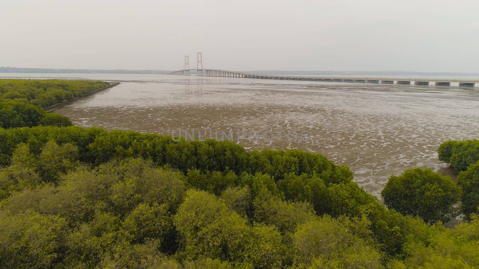 aerial view mangroves and suspension cable bridge Suramadu over madura strait connecting islands Java and Madura. surabaya high coast bridge with highway. java, indonesia