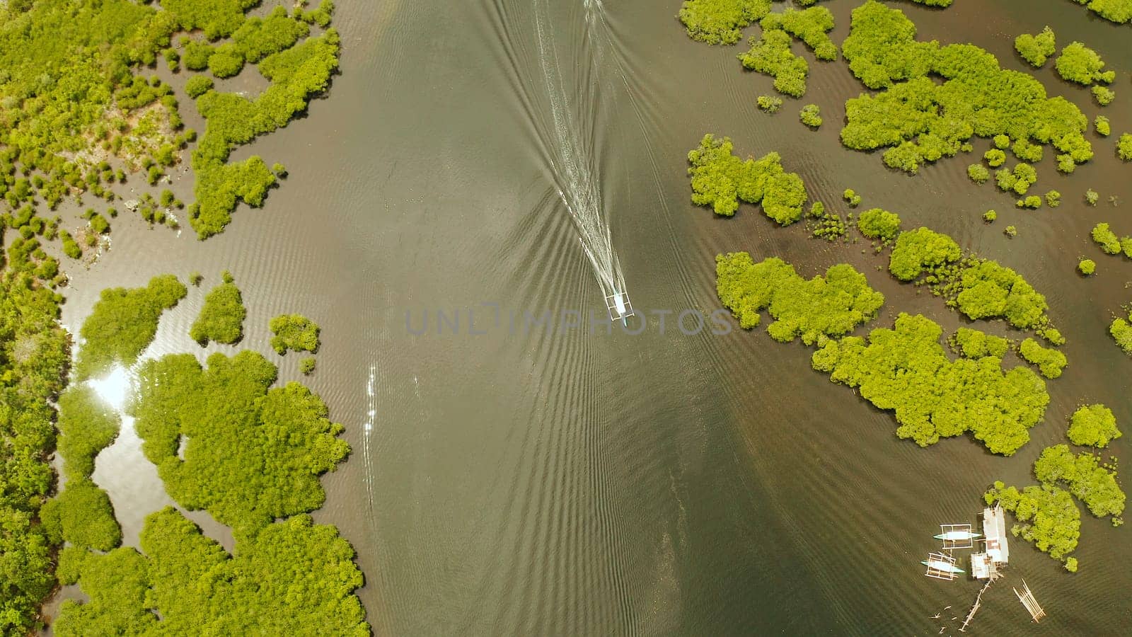 Aerial view of Mangrove forest and river. by Alexpunker