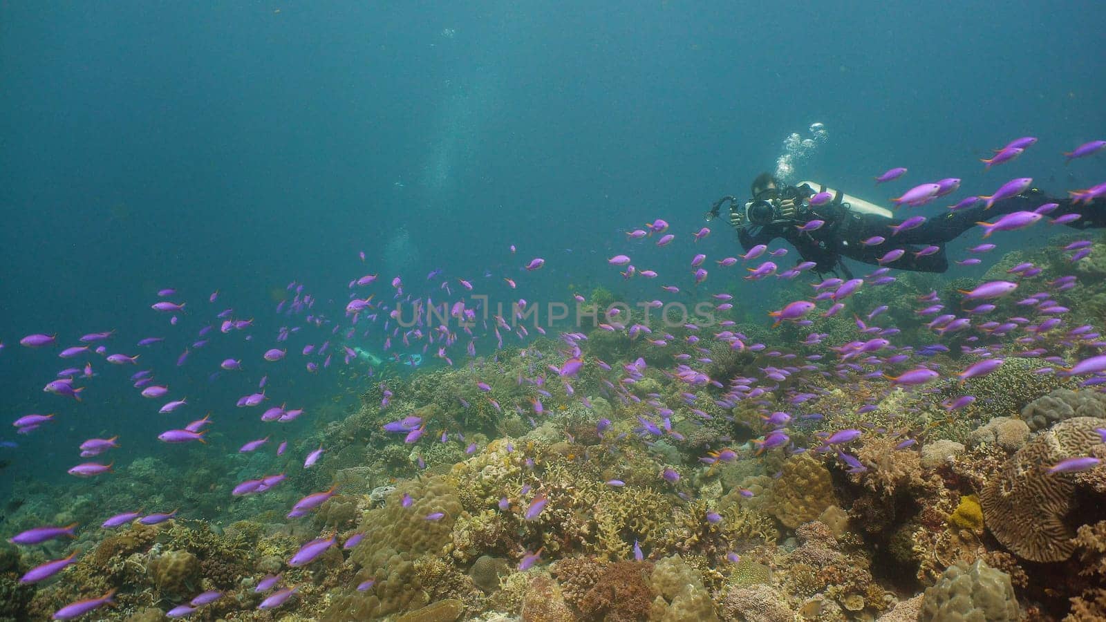 Scuba divers and coral reef with fish on a blue sea. Tropical colorful underwater seascape with coral reef. Camiguin, Philippines.