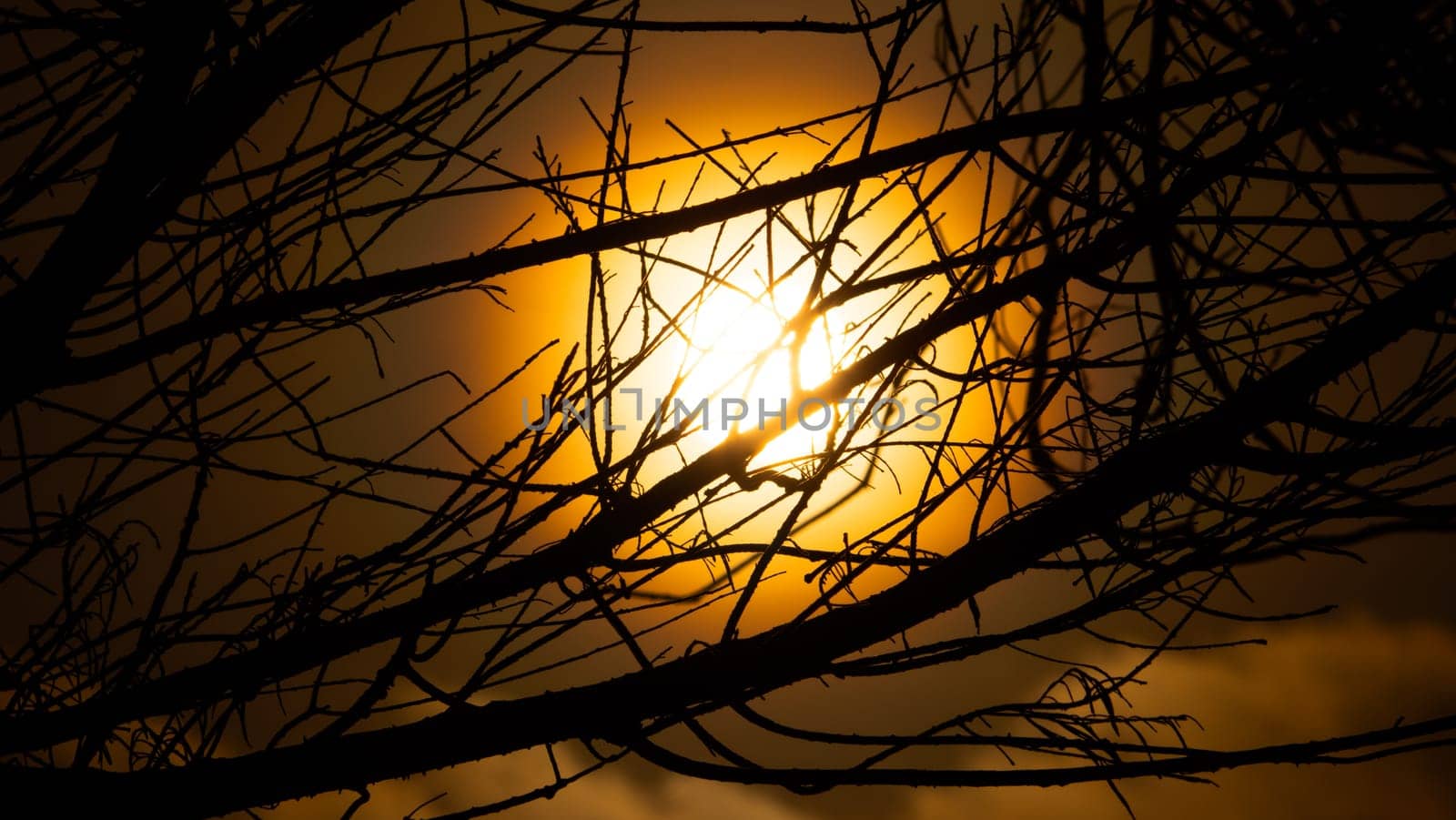 sun through tree branches. Sunset, sunrise with clouds. orange skies and sun