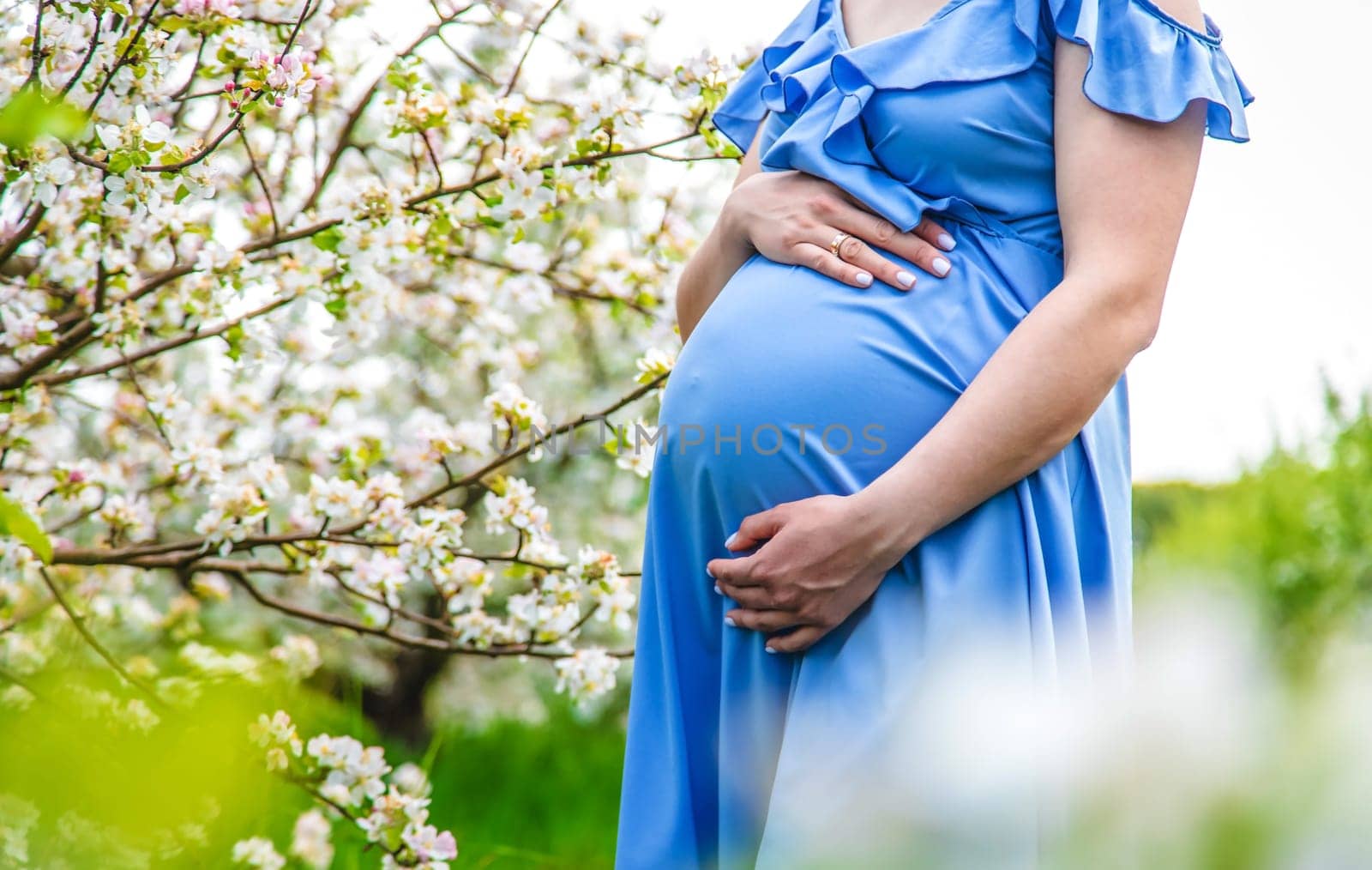 Pregnant woman in the garden of flowering apple trees. Selective focus. Nature.