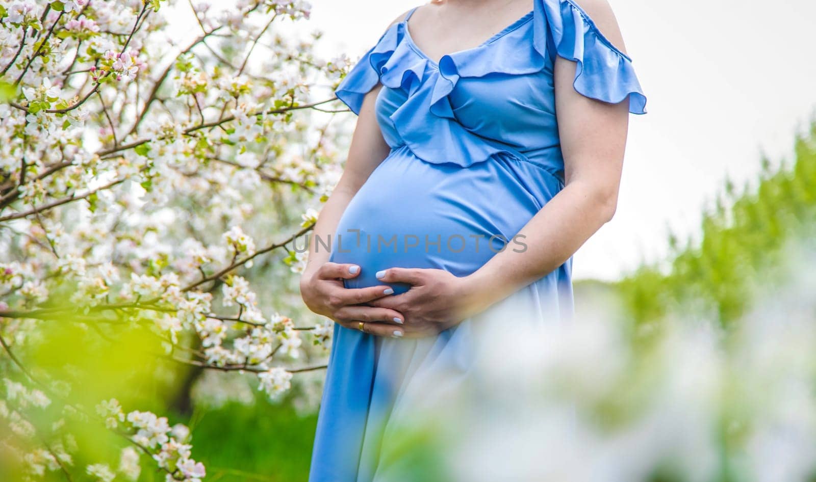 Pregnant woman in the garden of flowering apple trees. Selective focus. Nature.