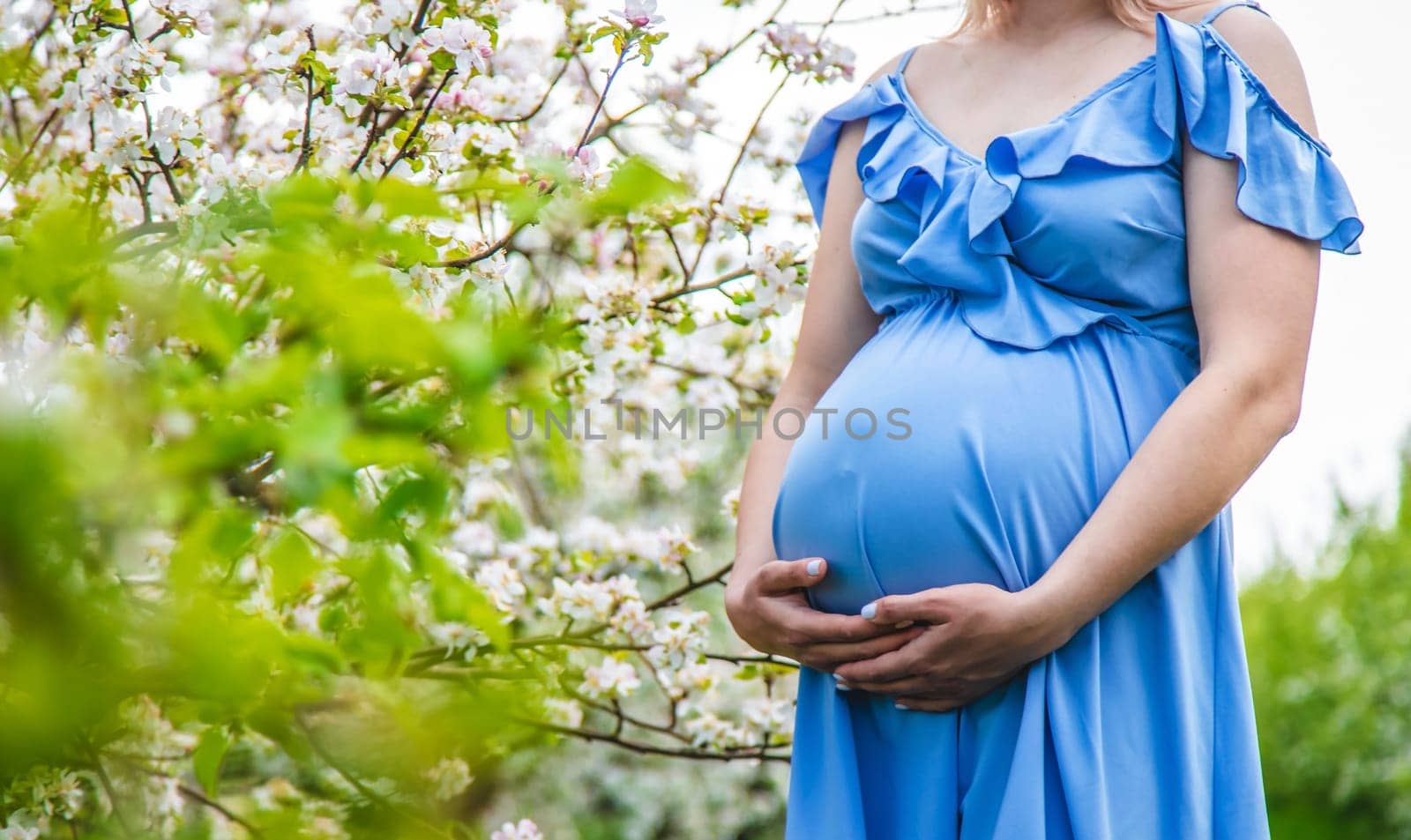 Pregnant woman in the garden of flowering apple trees. Selective focus. Nature.