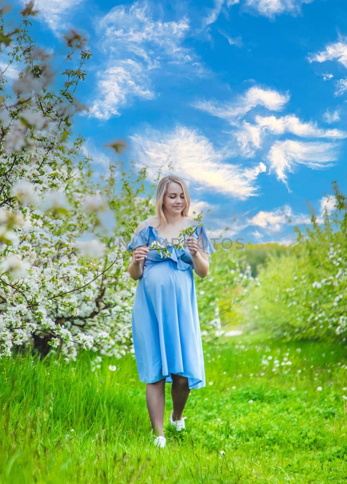 Pregnant woman in the garden of flowering apple trees. Selective focus. Nature.