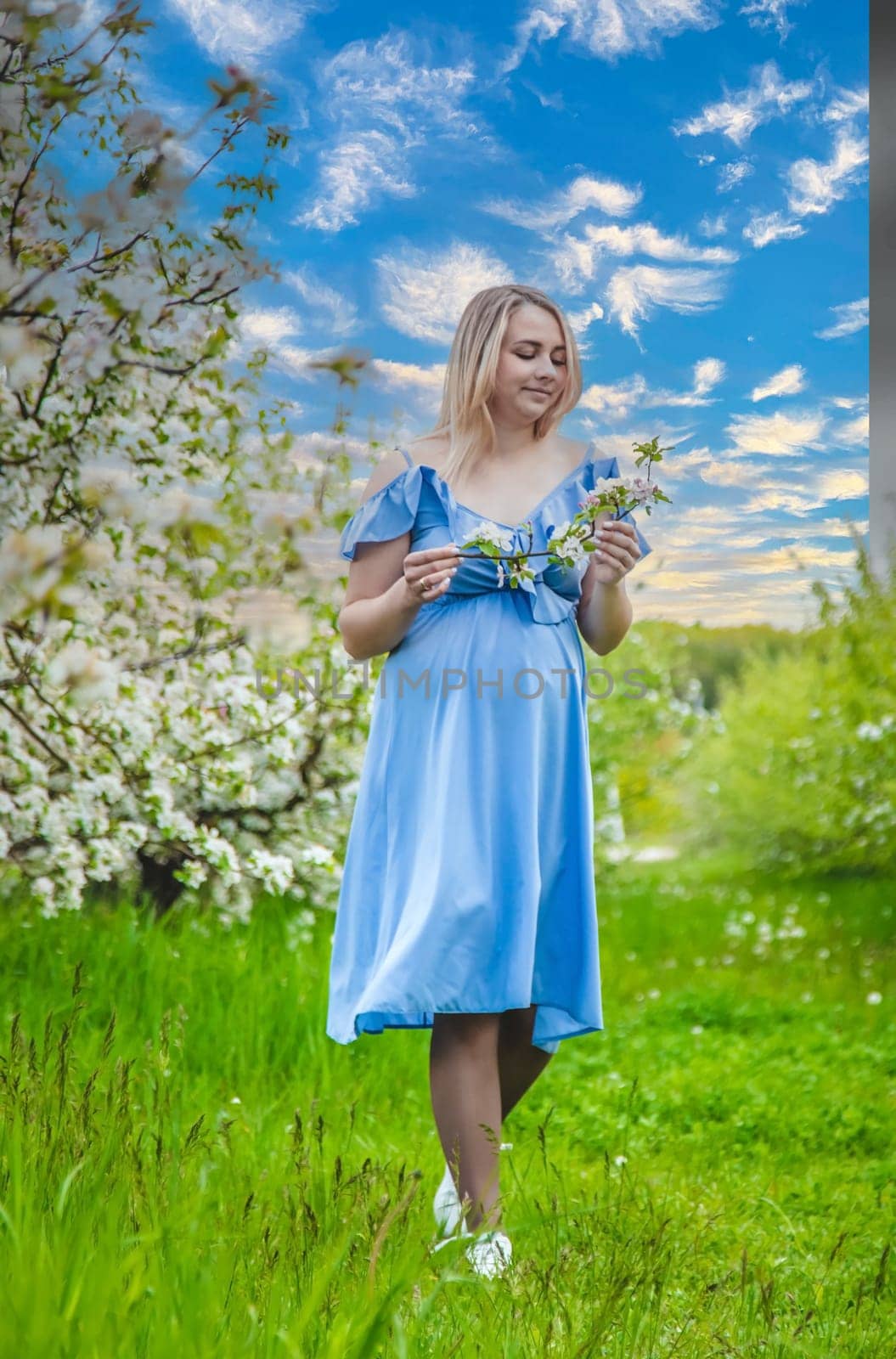 Pregnant woman in the garden of flowering apple trees. Selective focus. Nature.