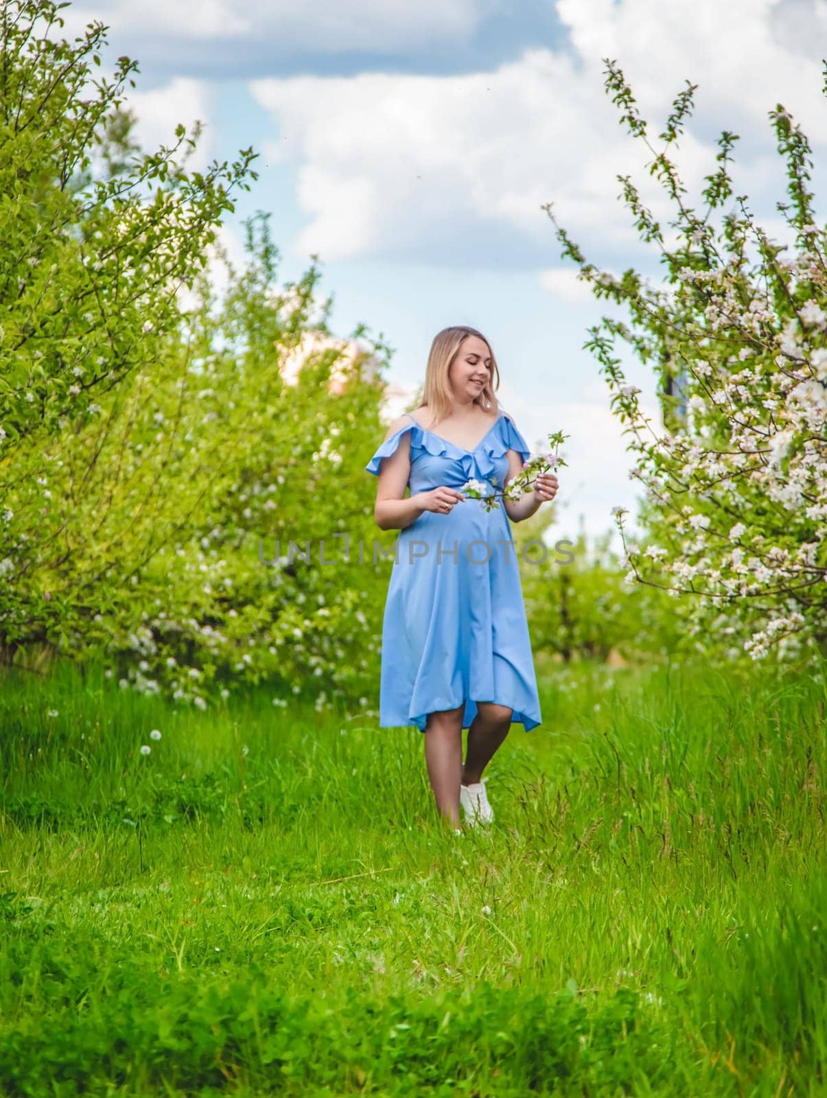 Pregnant woman in the garden of flowering apple trees. Selective focus. Nature.