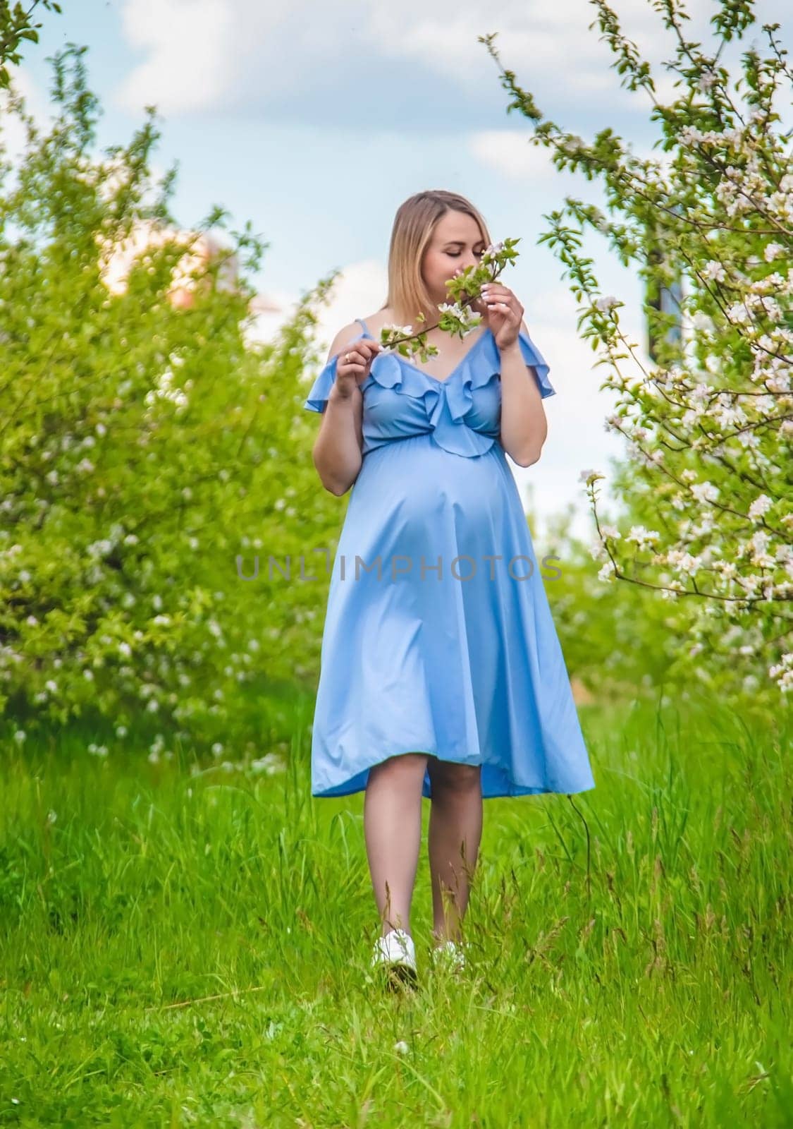 Pregnant woman in the garden of flowering apple trees. Selective focus. Nature.