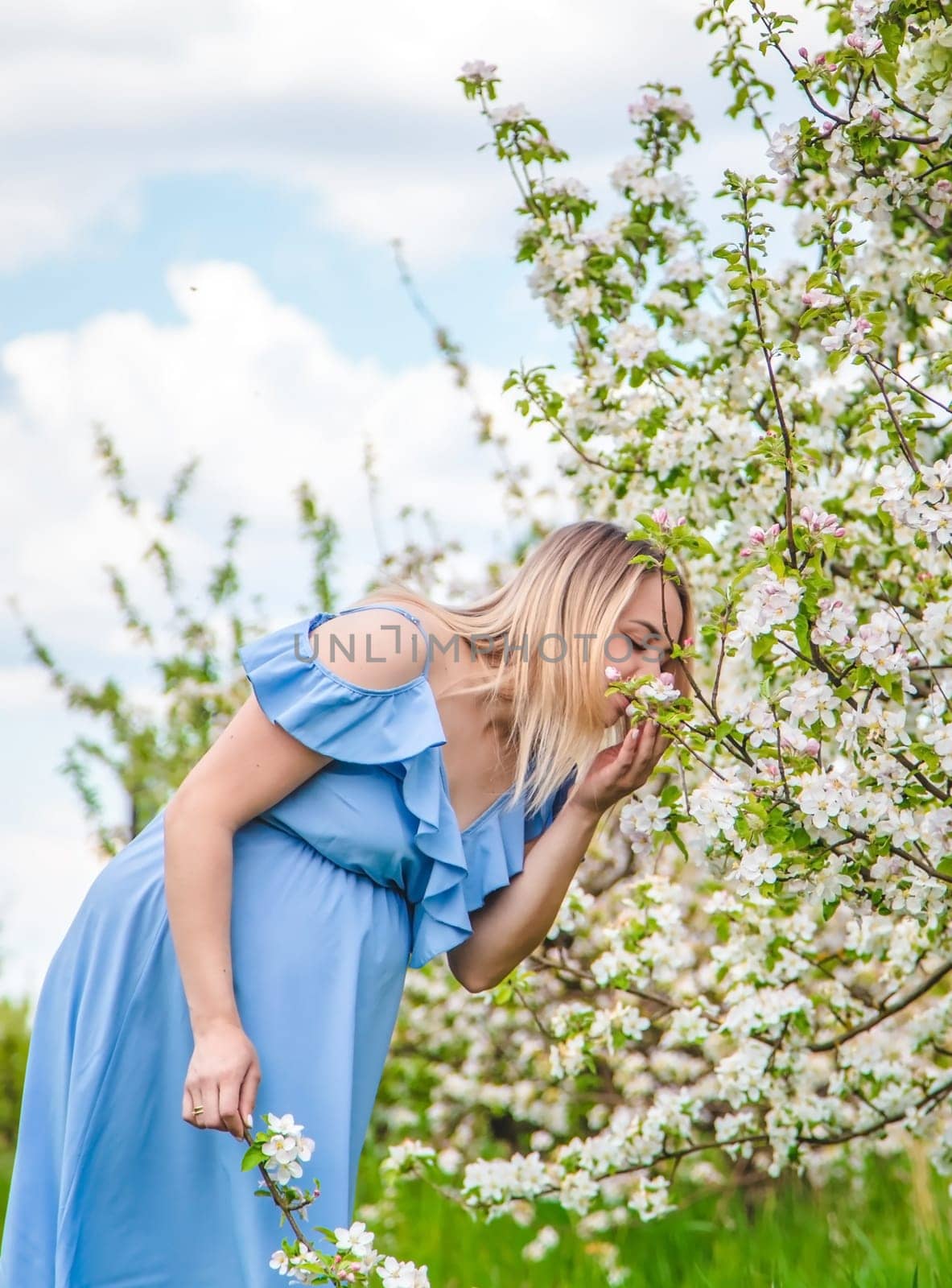 Pregnant woman in the garden of flowering apple trees. Selective focus. Nature.