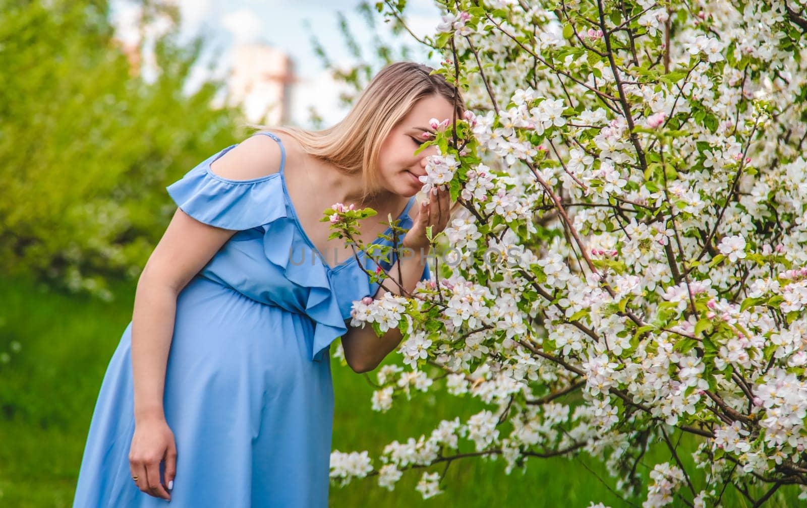 Pregnant woman in the garden of flowering apple trees. Selective focus. Nature.