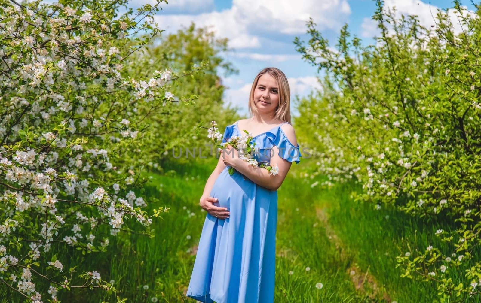 Pregnant woman in the garden of flowering apple trees. Selective focus. Nature.