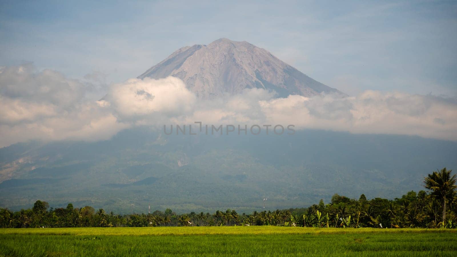 tropical landscape rice fields, mountains, palm trees. farmland with agricultural crops in rural areas Java Indonesia Aerial footage.