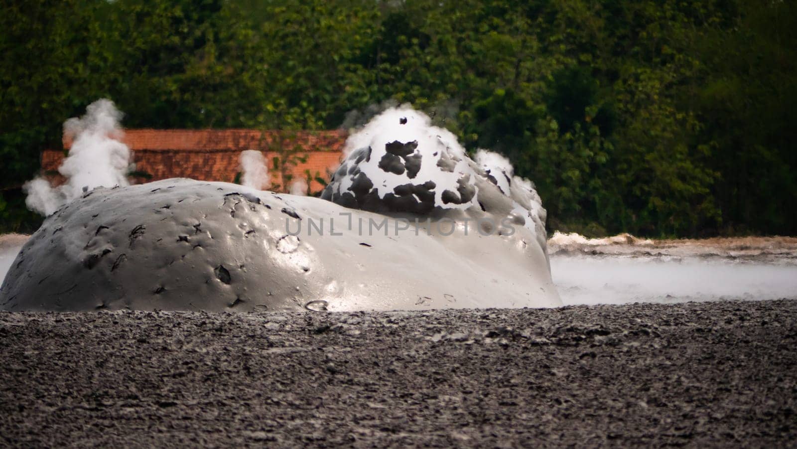mud volcano with bursting bubble bledug kuwu. volcanic plateau with geothermal activity and geysers, slow motion Indonesia java. volcanic landscape