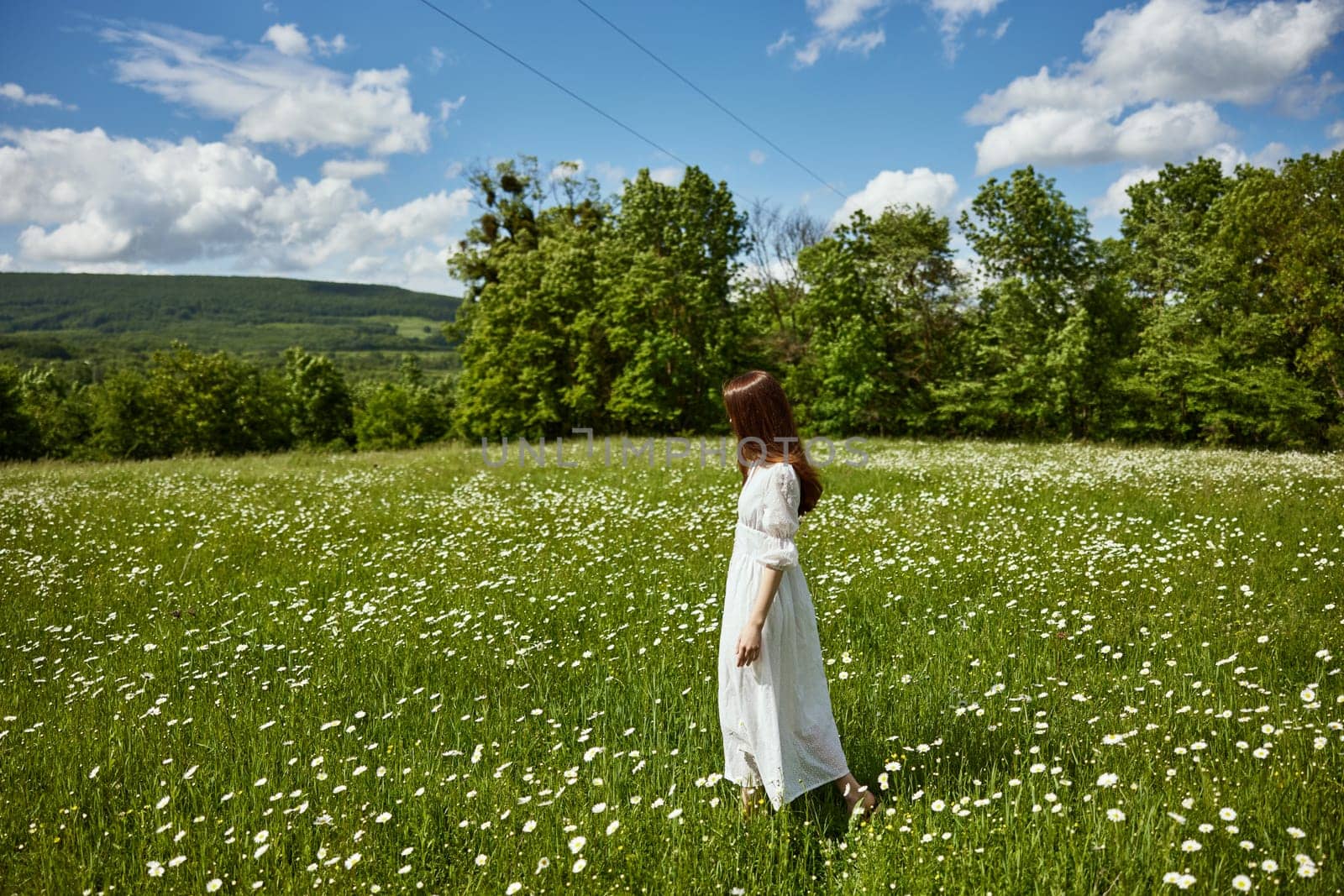 a woman in a long light dress stands in a chamomile field on a sunny day. High quality photo