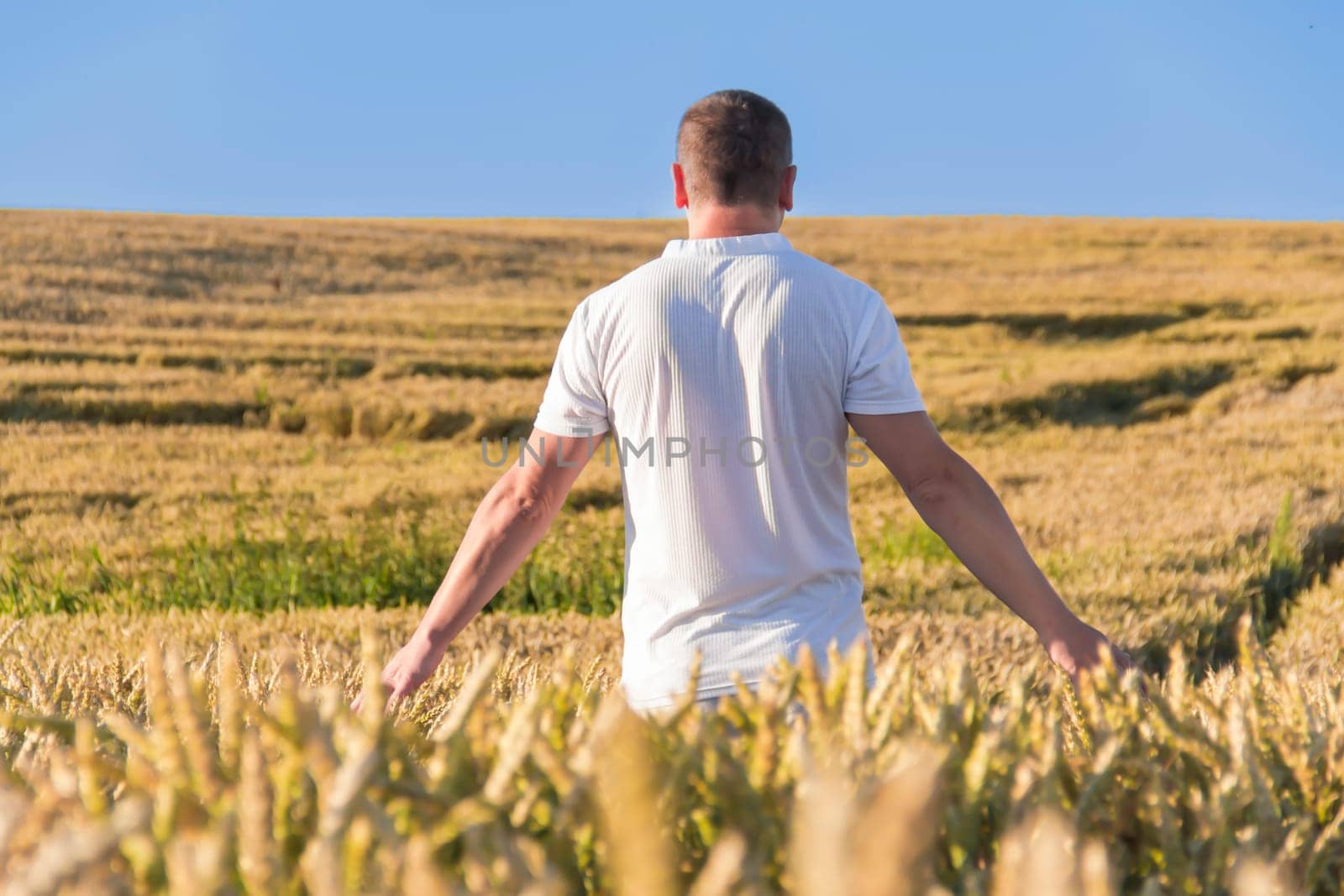 A man harvests a grain crop and walks carefree and fun in a field with wheat. It's time to harvest. The food crisis in the world. A field for harvesting bread.