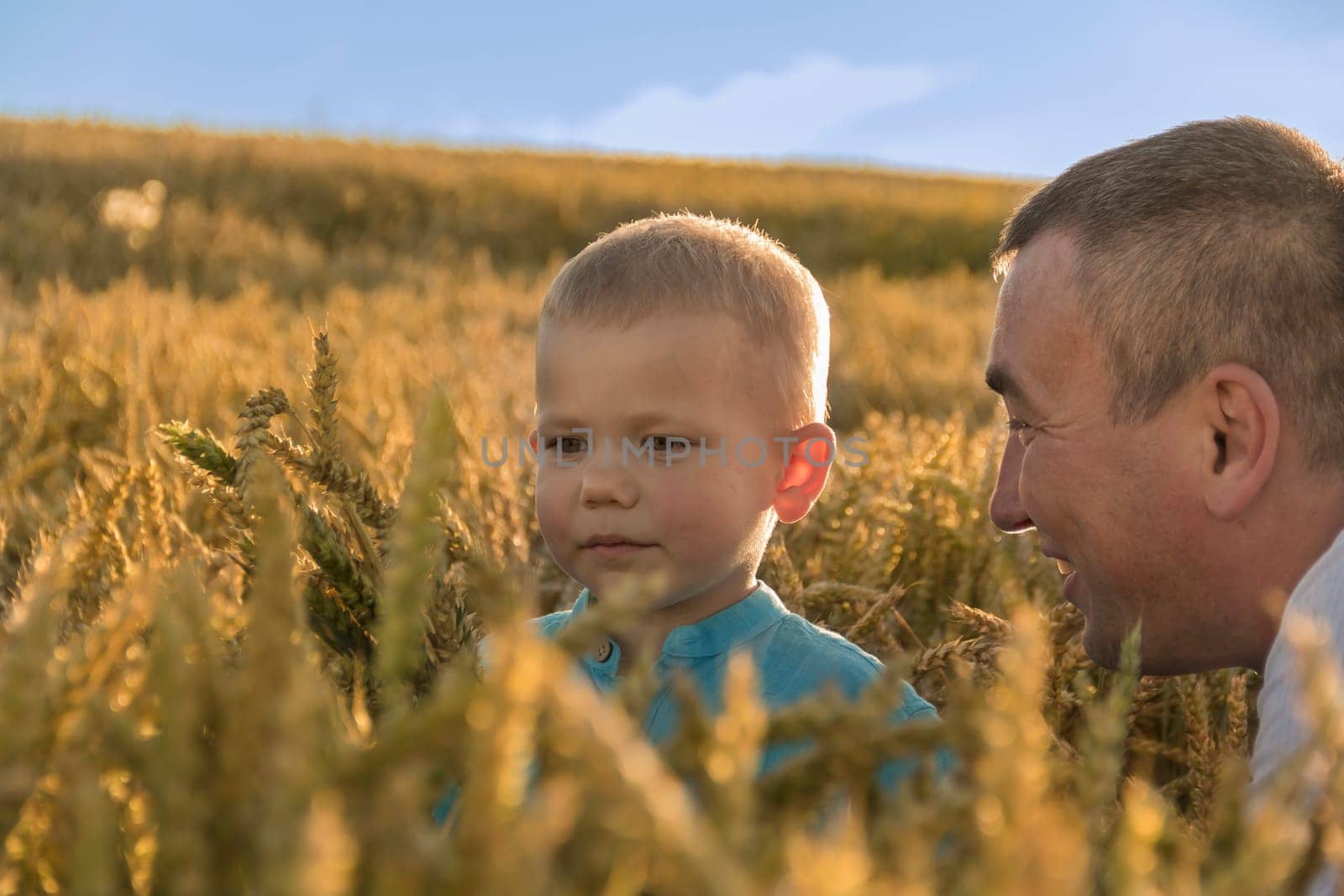 Dad and his little son are having fun walking in a field with ripe wheat. Grain for making bread. the concept of economic crisis and hunger