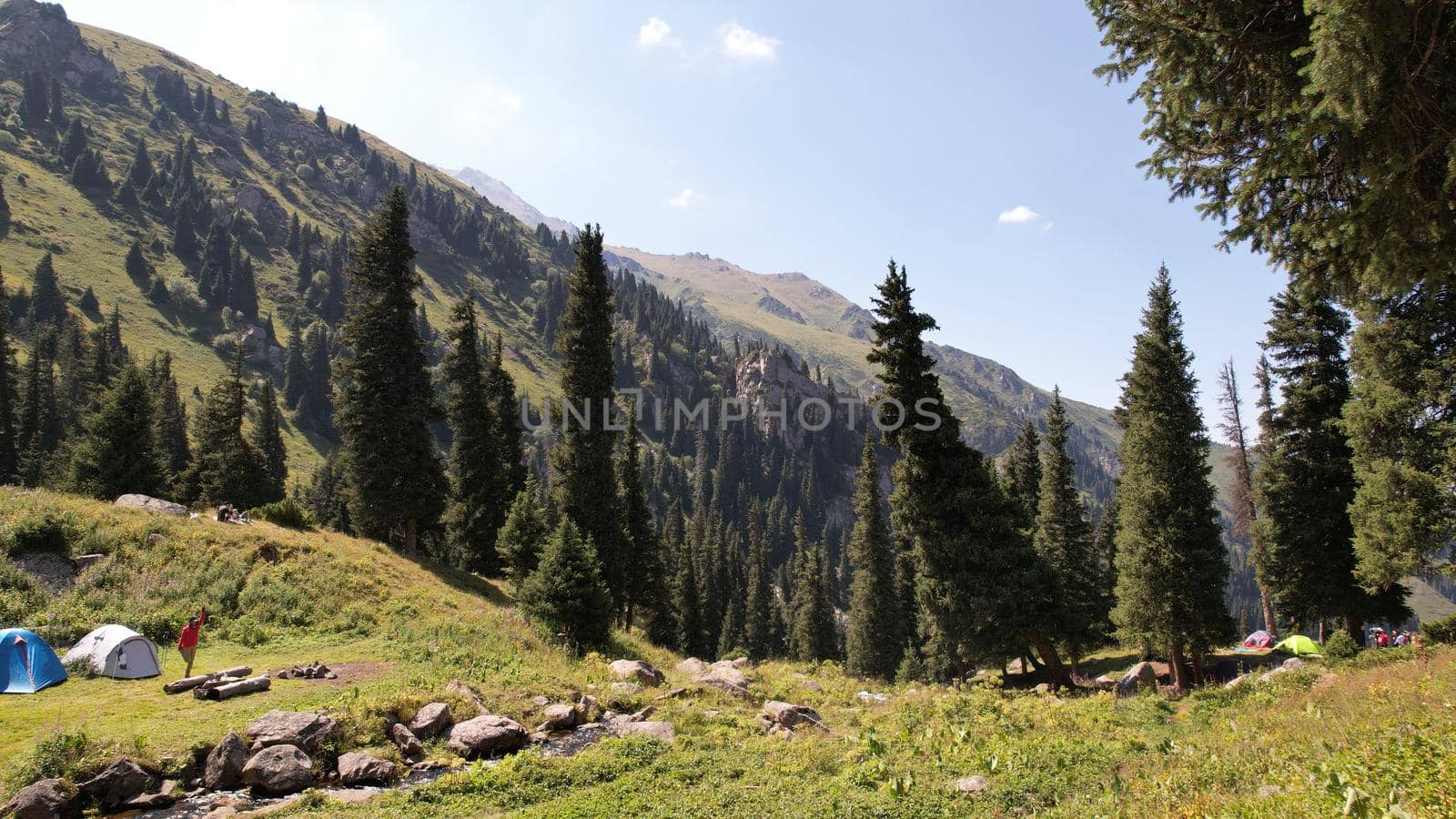 A small pond and a stream in a mountain forest. The river runs through green meadows, bright flowers. Coniferous trees are growing. Large stones along the river. A place for camping. Several tents