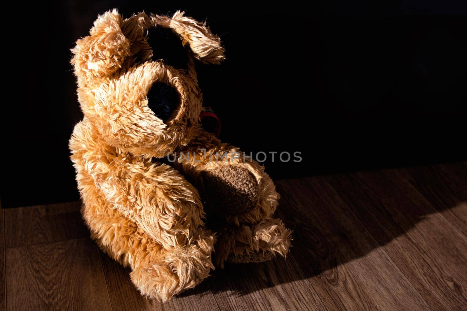 Plush toy dog on wooden floor close up, copy space