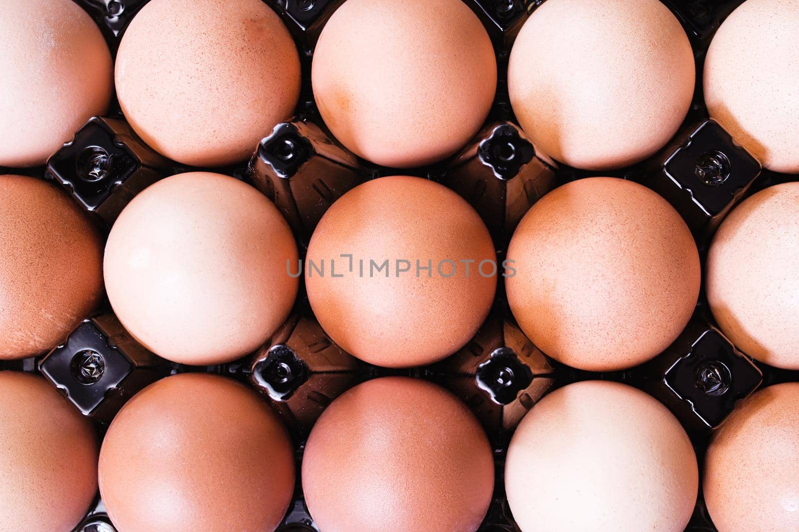 Many chicken eggs in a box top view