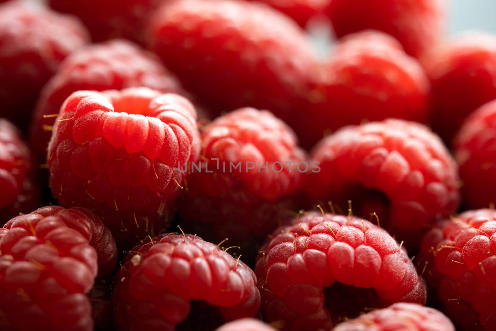 Fresh red raspberries macro shot