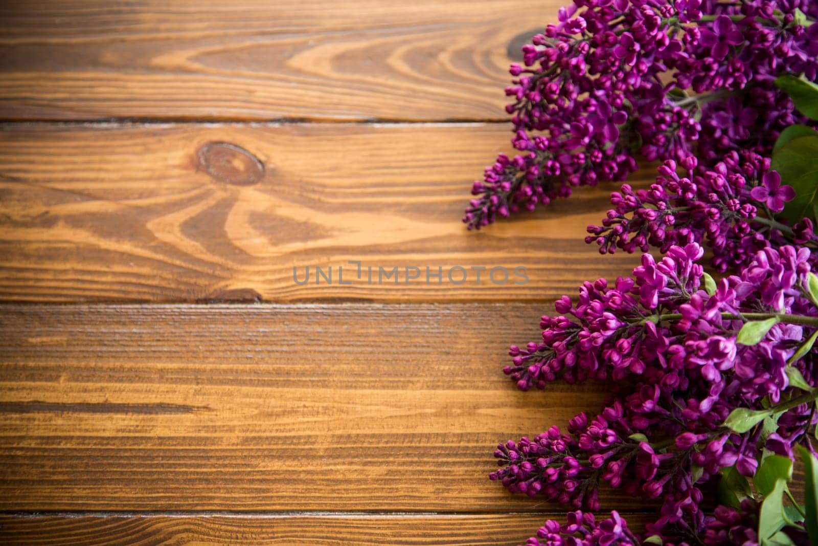 wooden background with branches of blooming beautiful lilac, empty space for text.
