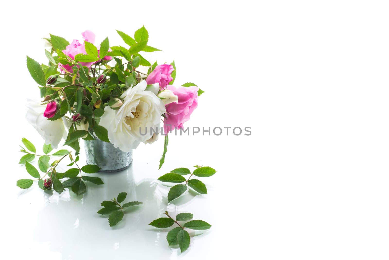 Small bouquet of beautiful summer pink and white roses, isolated on white background.