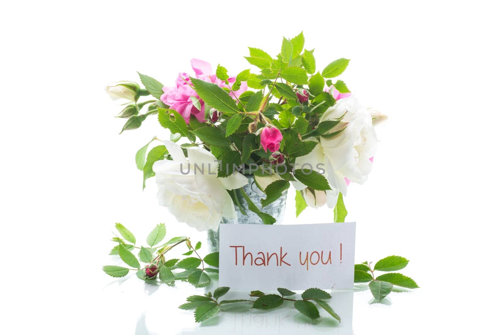 Small bouquet of beautiful summer pink and white roses, isolated on white background.