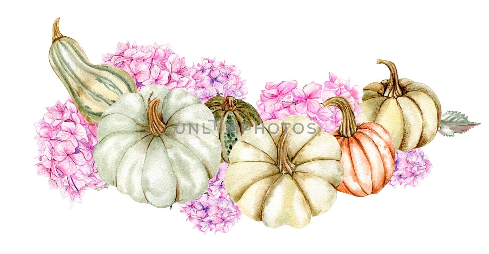 Fall composition with pink hydrangea and pumpkins. For cards, backgrounds. Watercolor illustration for scrapbooking. Perfect for wedding invitation.