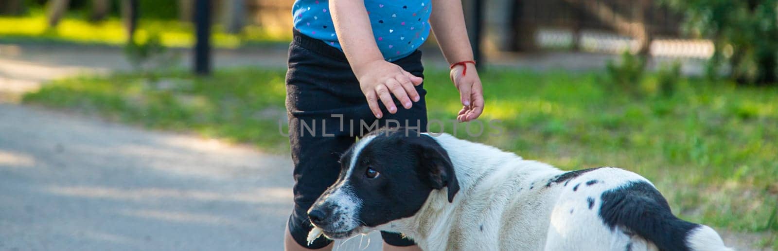 A child plays with a small dog in the park. Selective focus. by yanadjana