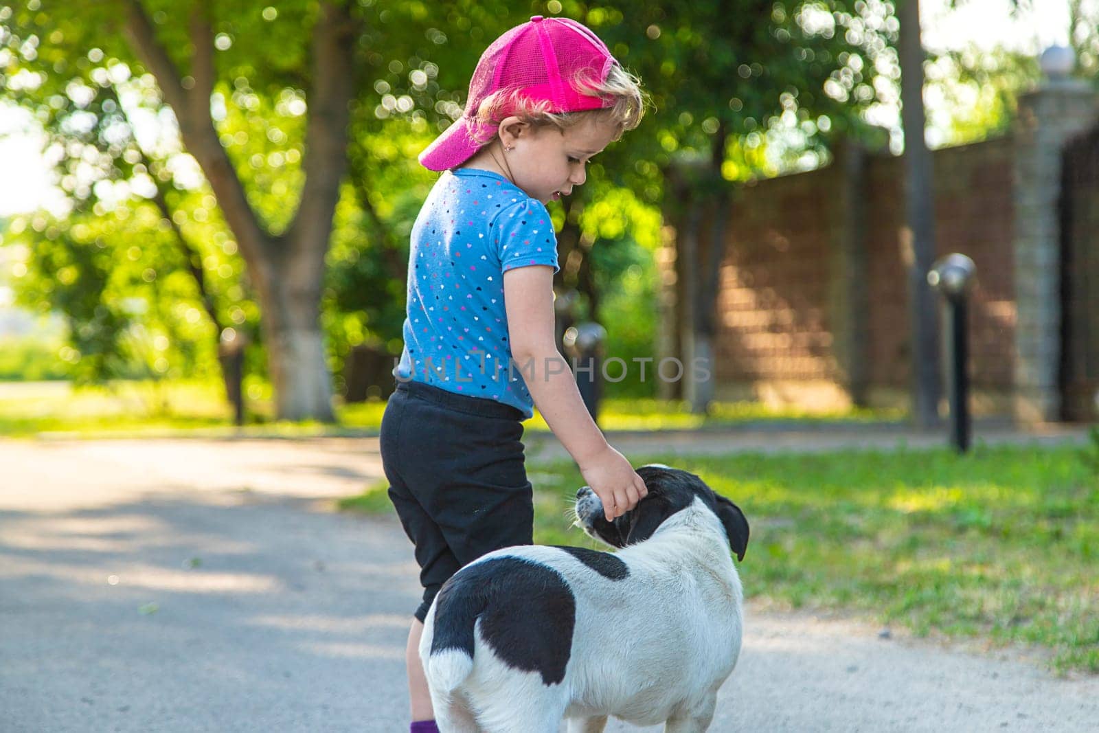 A child plays with a small dog in the park. Selective focus. by yanadjana