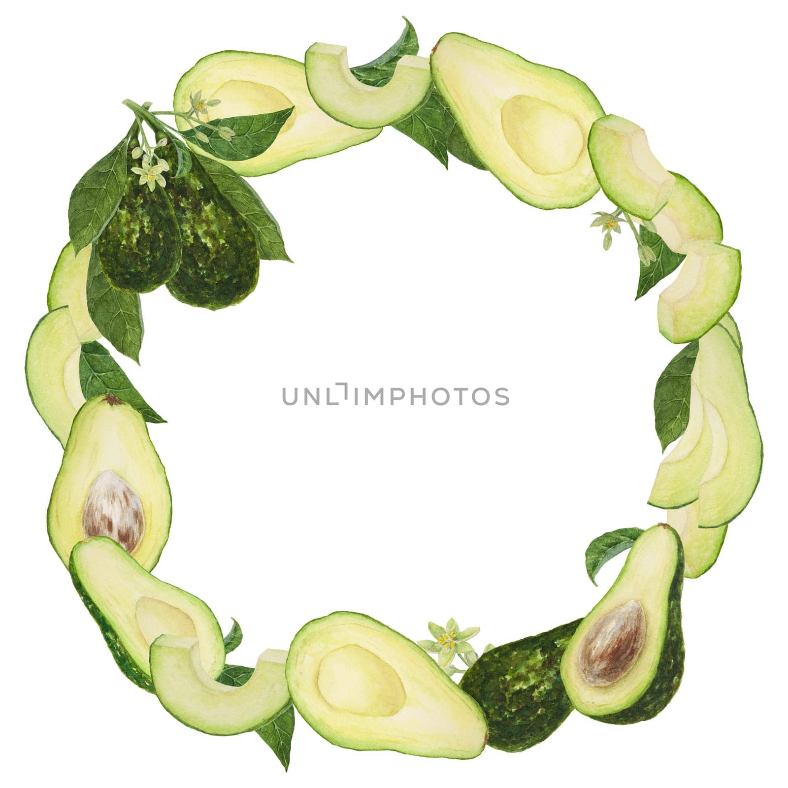Frame, wreath of avocado with leaves and flowers watercolor hand drawn realistic illustration. Green and fresh art of salad, sauce, guacamole, smoothie ingredient. For textile, menu, cards, paper, package design