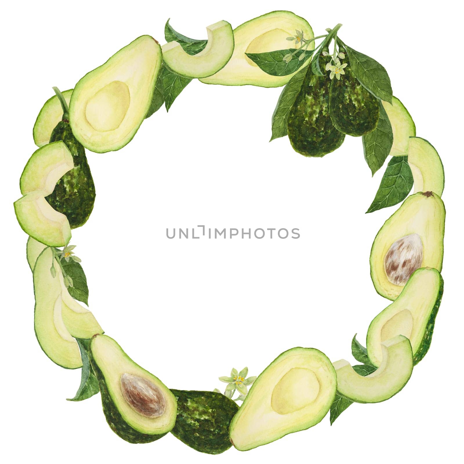 Frame, wreath of avocado with leaves and flowers watercolor hand drawn realistic illustration. Green and fresh art of salad, sauce, guacamole, smoothie ingredient. For textile, menu, cards, paper, package design