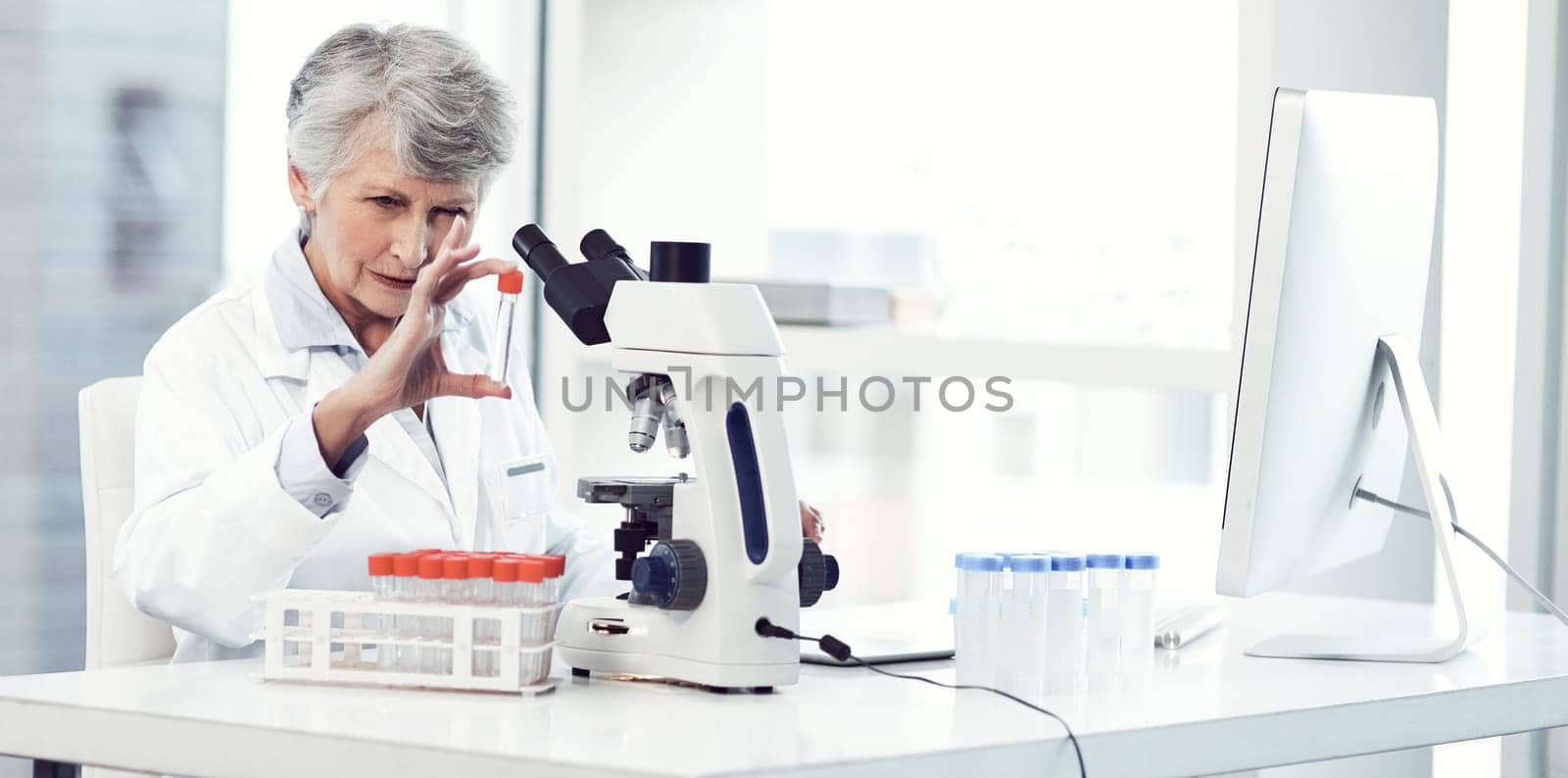 This could be the start of something great. a focused elderly female scientist holding up a test tube and examining it inside of a laboratory. by YuriArcurs