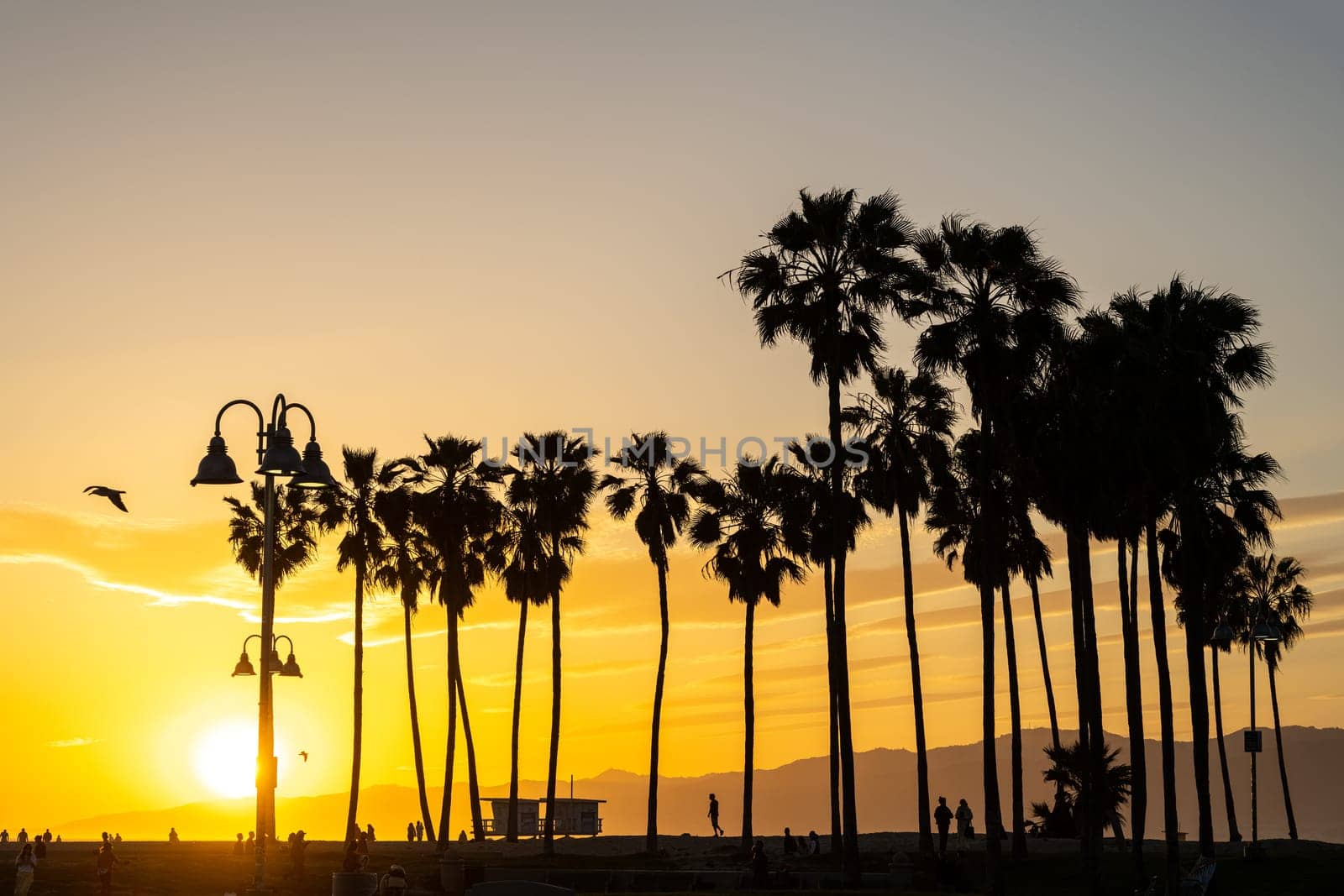 Venice Beach before sunset by elxeneize