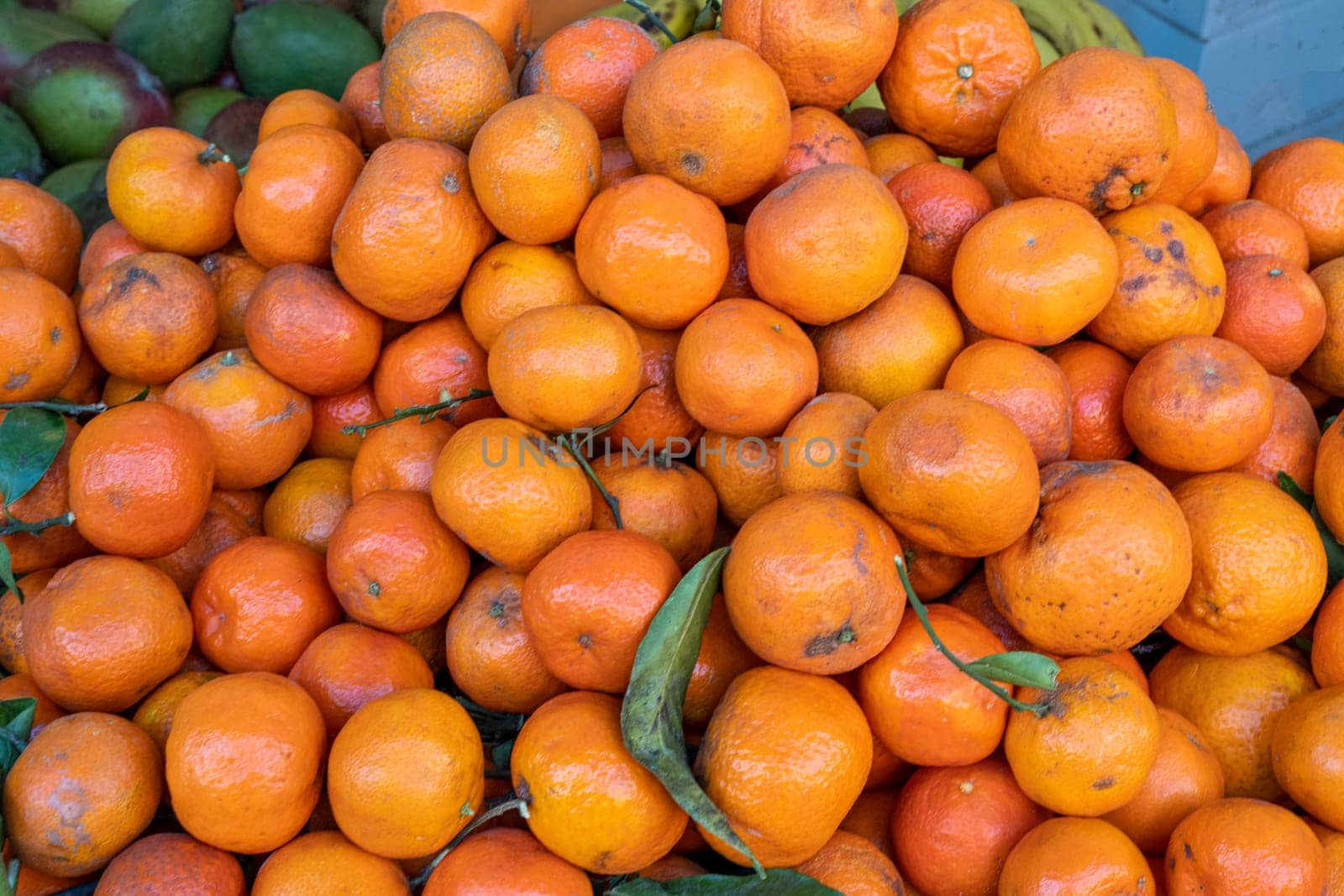 Pile of tangerines by elxeneize