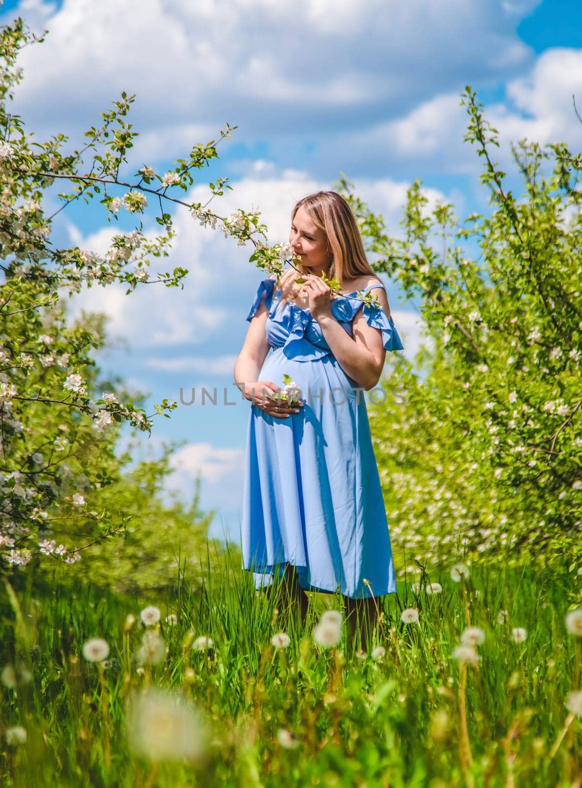 Pregnant woman in the garden of flowering apple trees. Selective focus. Nature.