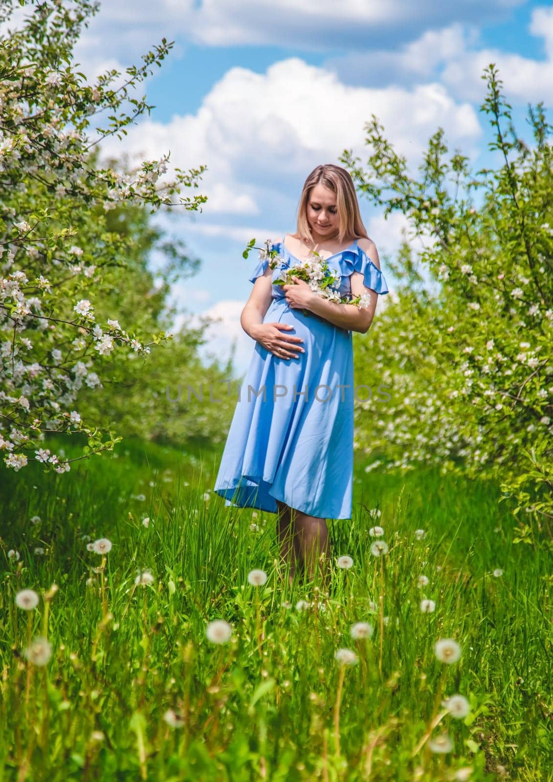 Pregnant woman in the garden of flowering apple trees. Selective focus. Nature.