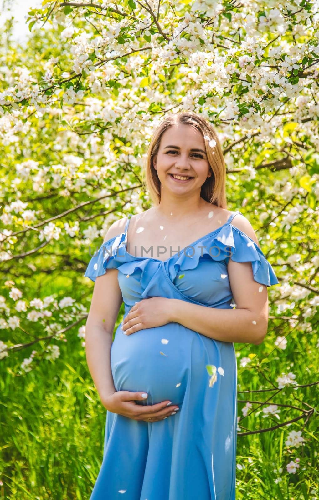 Pregnant woman in the garden of flowering apple trees. Selective focus. Nature.