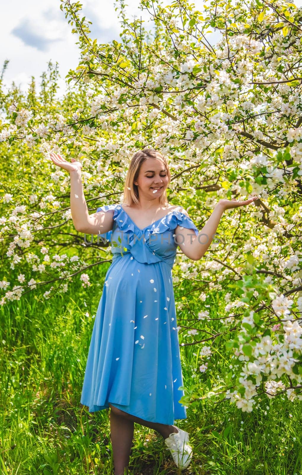 Pregnant woman in the garden of flowering apple trees. Selective focus. Nature.