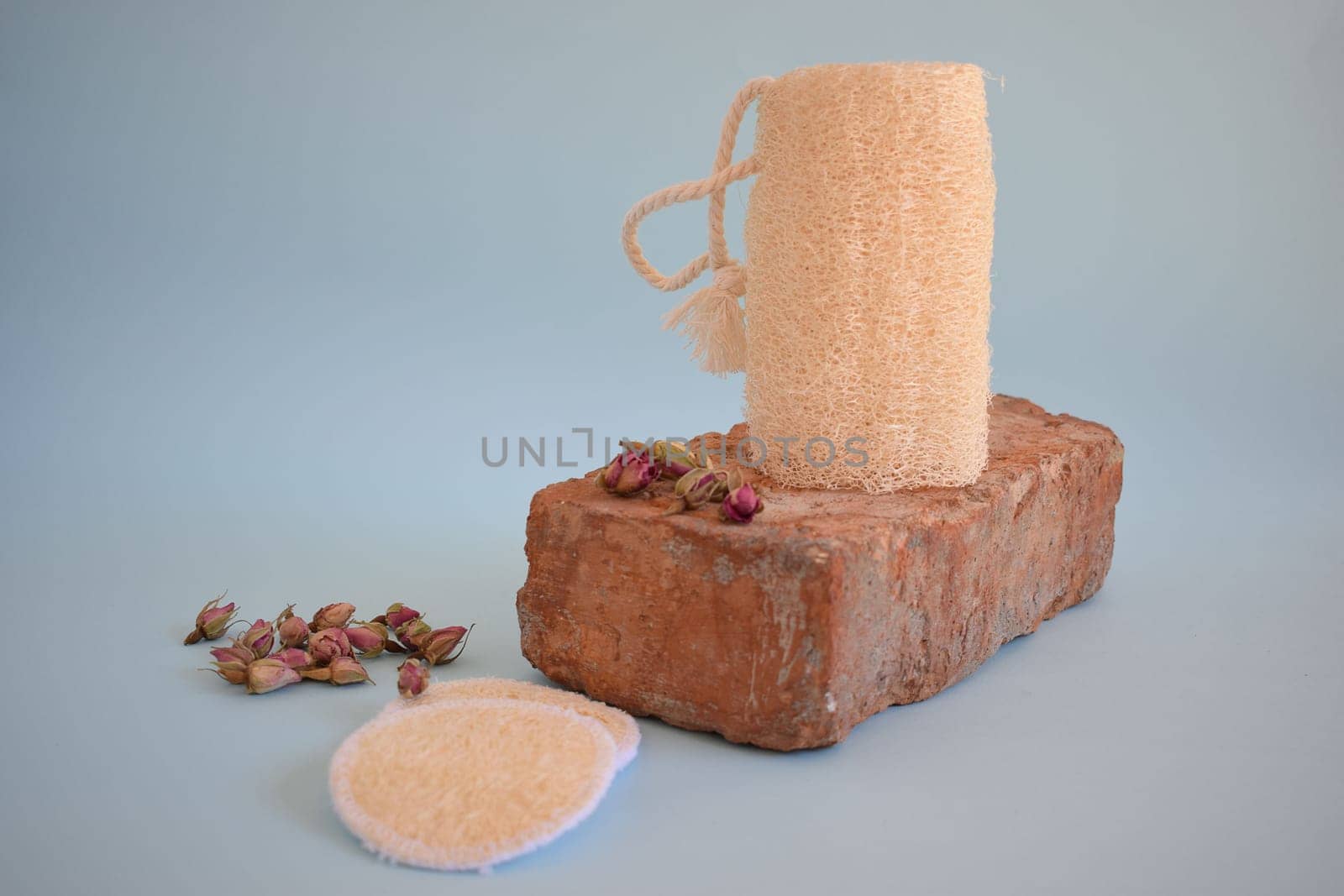 Natural Luffa Sponge. Body scrap with natural sponge on a blue background.