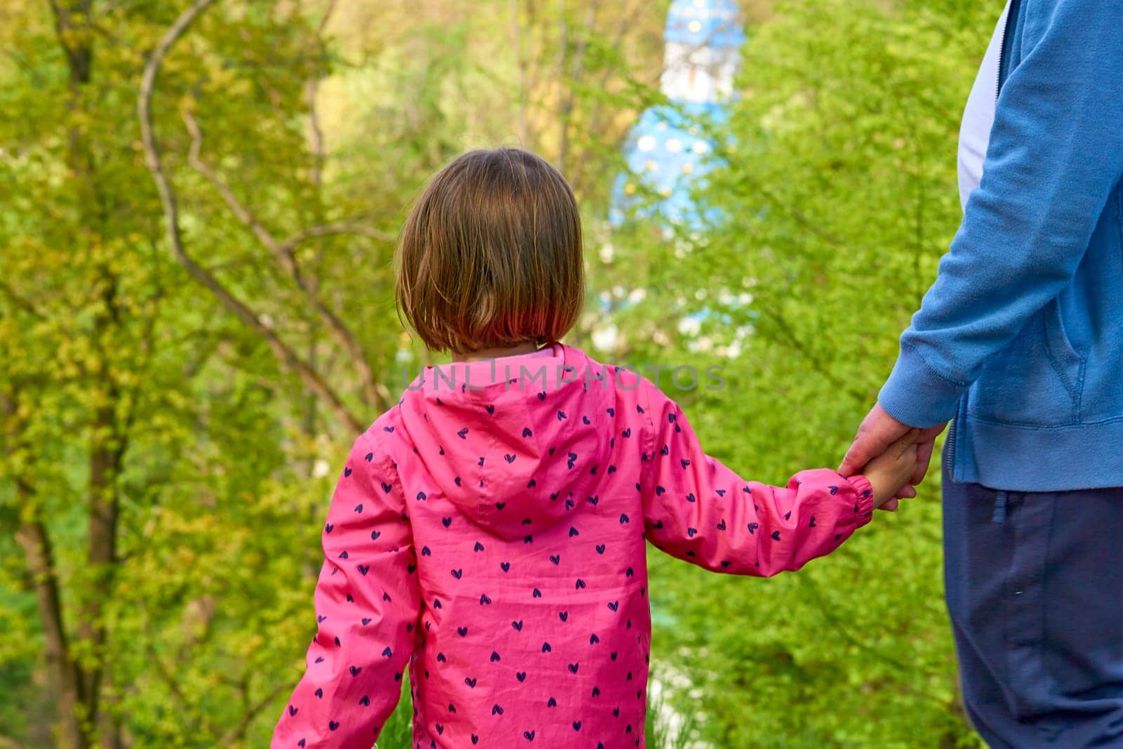 Cute little girl daughter holding dad's hand while walking in the forest park by jovani68