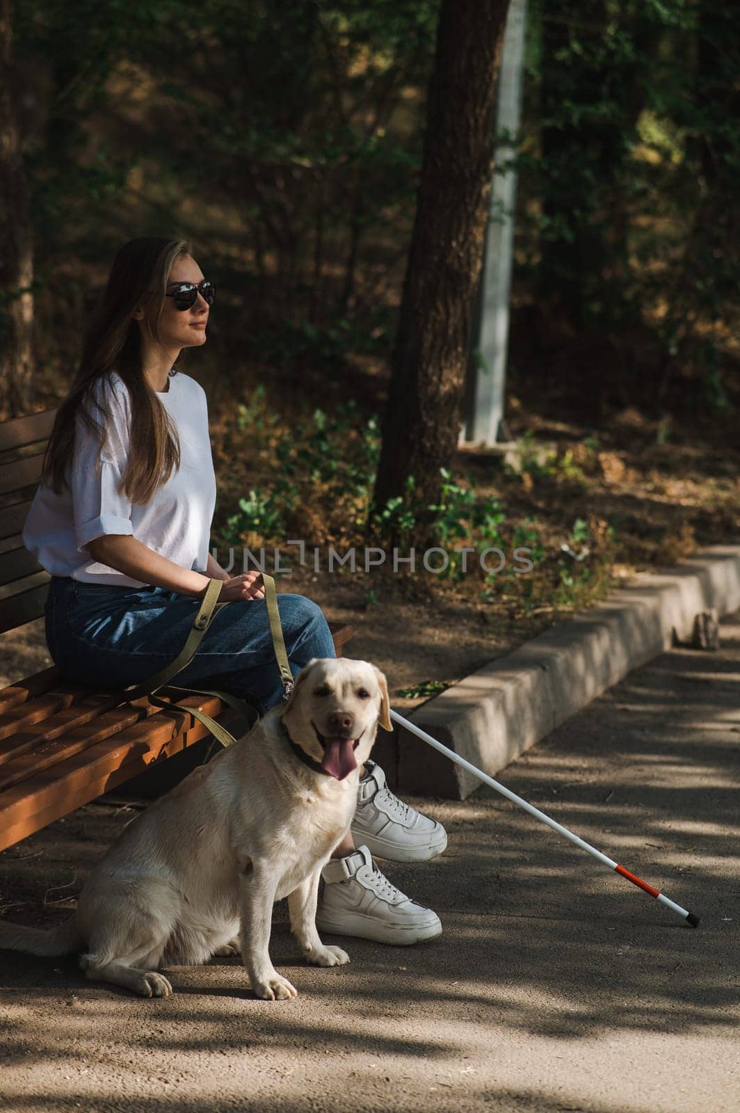 Blind caucasian woman sitting on bench with guide dog. by mrwed54