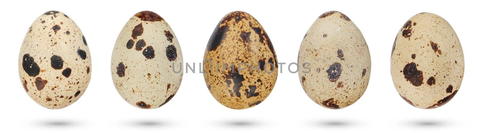 Quail eggs on a white isolated background. Natural ecological food. Quail eggs of natural spotted color