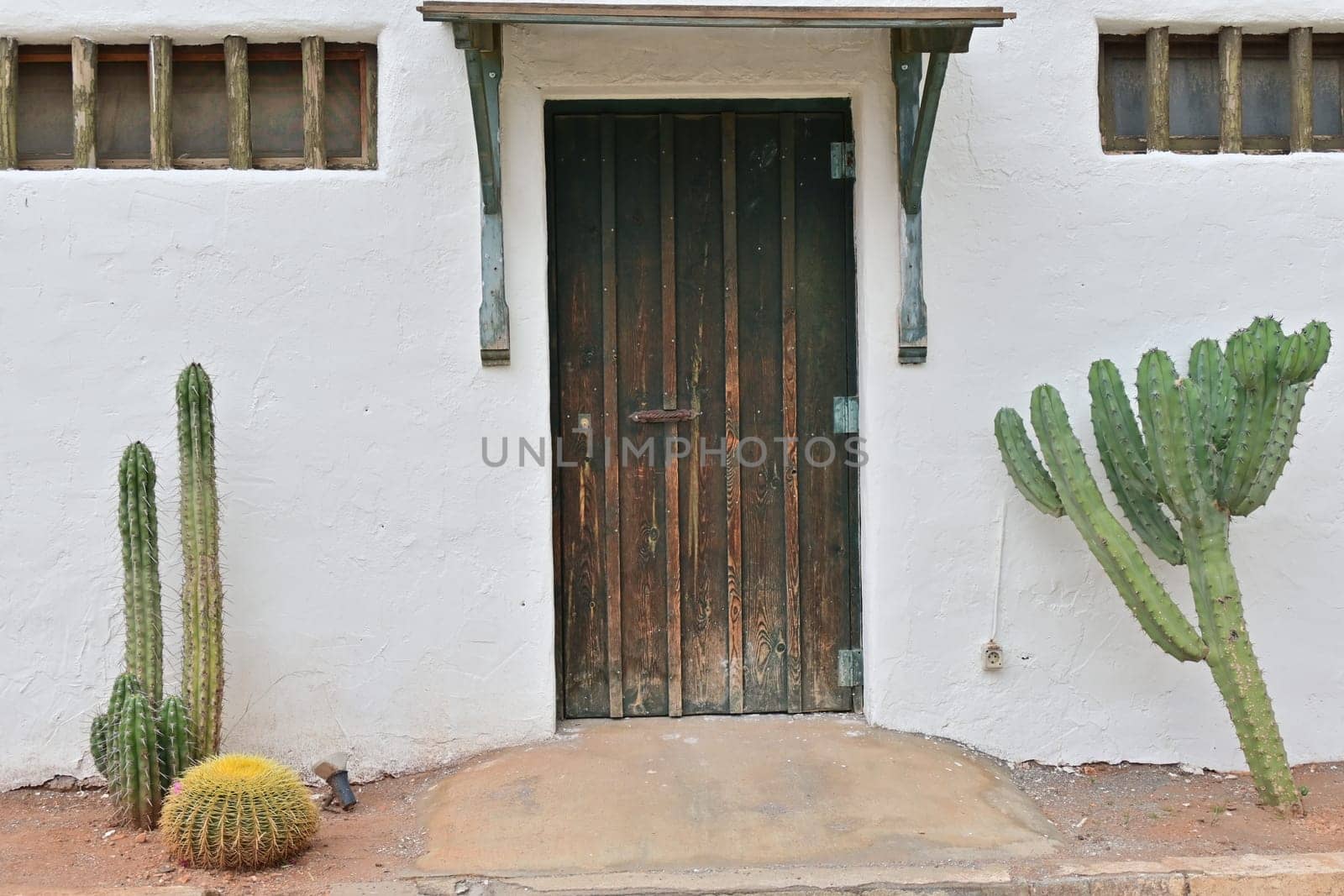 Cactus plant with wooden bench and wooden sliding door on white concrete wall in porch area of Vintage House.
