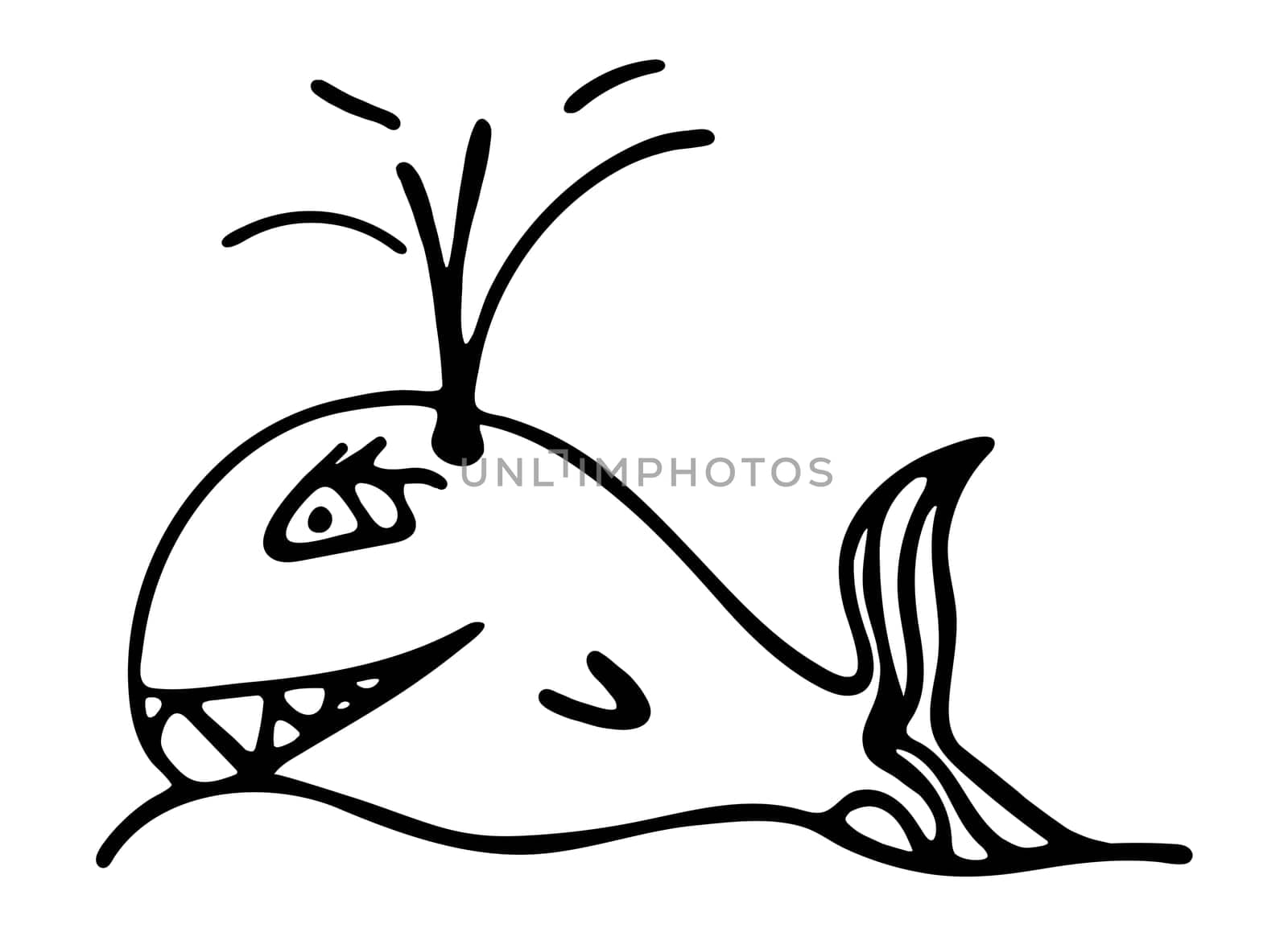 Black and White Whale with a Fountain of Water Illustration Isolated on White Background. Hand Drawn Coloring book with Whale Cartoon Clipart. Coloring Page for Kids.