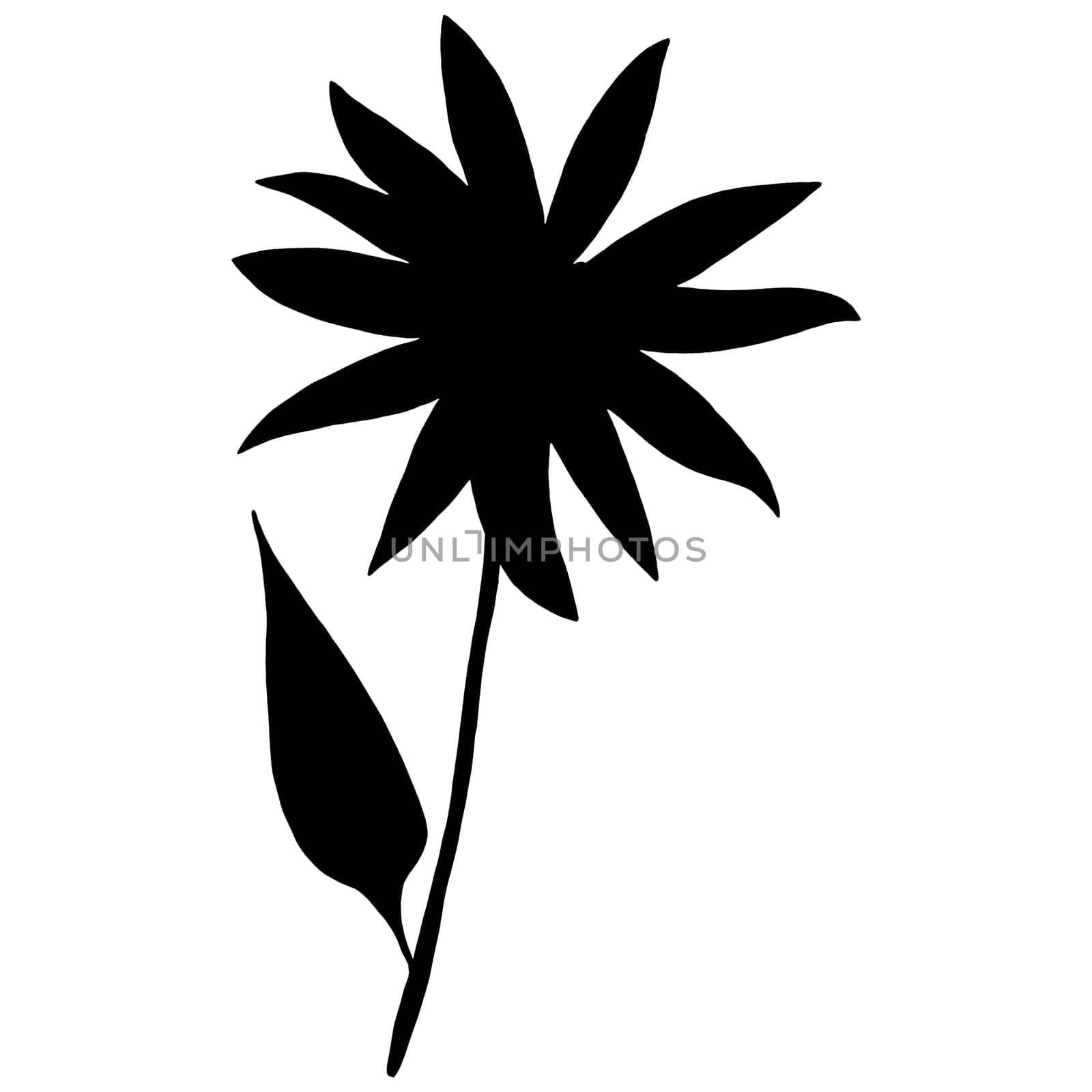 Hand Drawn Flower Silhouette. Black Floral Illustration. Plant Silhouette Isolated on White Background.