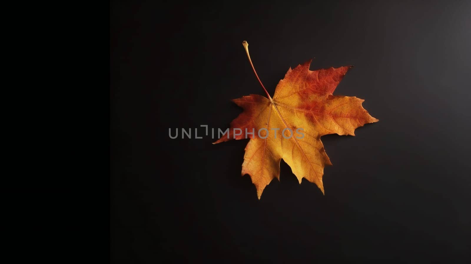 Autumn background orange marple leaf on black with copy space for text. Fall background. Generative ai by juliet_summertime