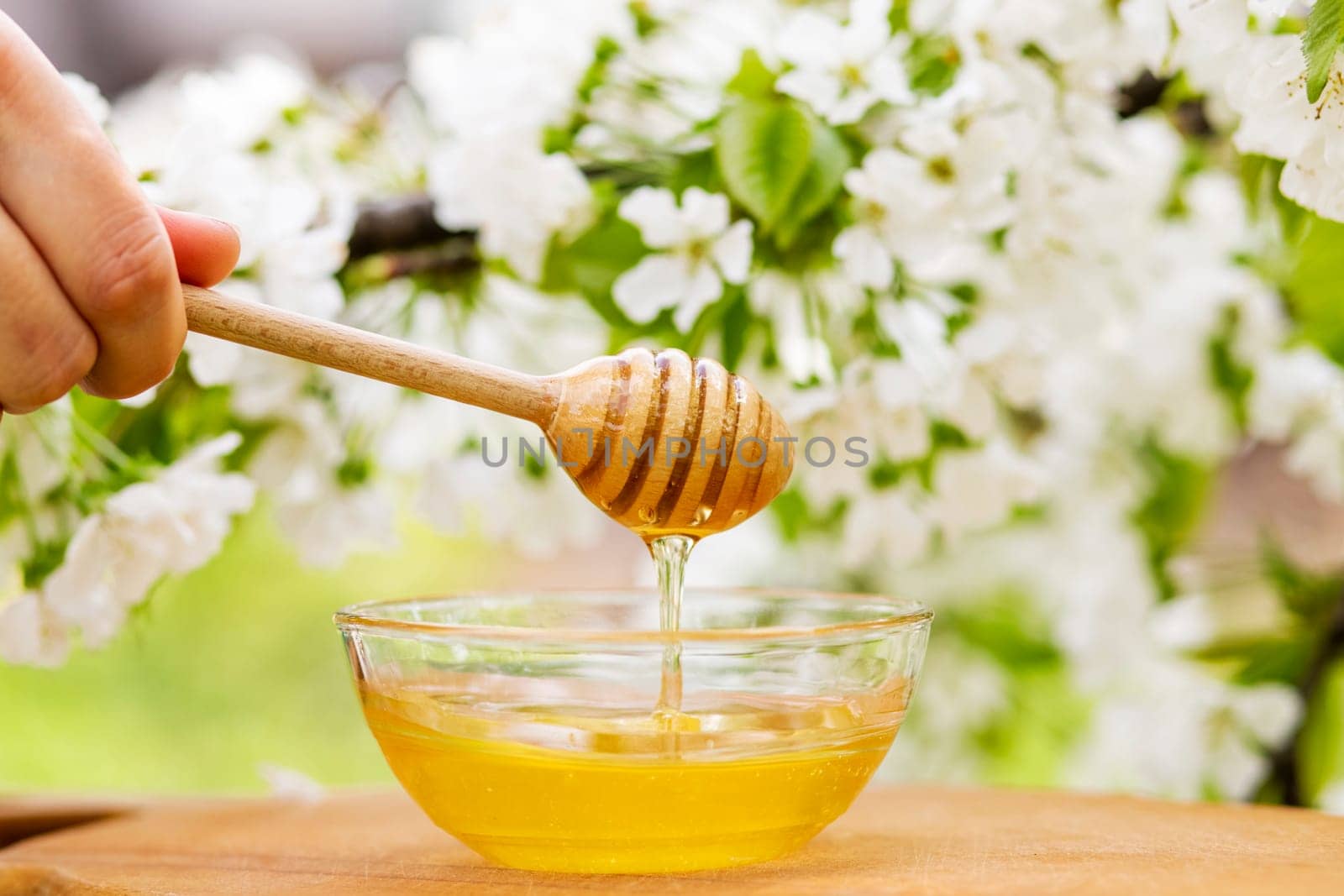 Honey dripping from wooden honey spoon in glass bowl against the background of flowering branches