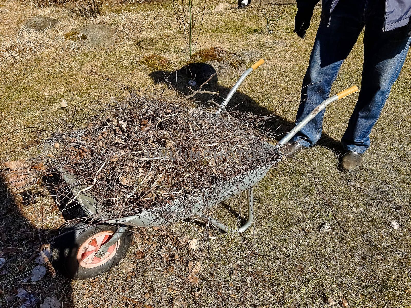 Person raking fallen leaves in the garden.Girl holding a rake and cleaning lawn from dry leaves during spring season. work in garden.